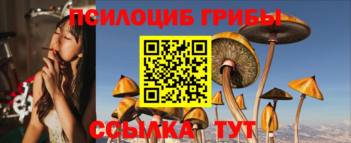 Псилоцибиновые грибы Psilocybine cubensis Малоярославец