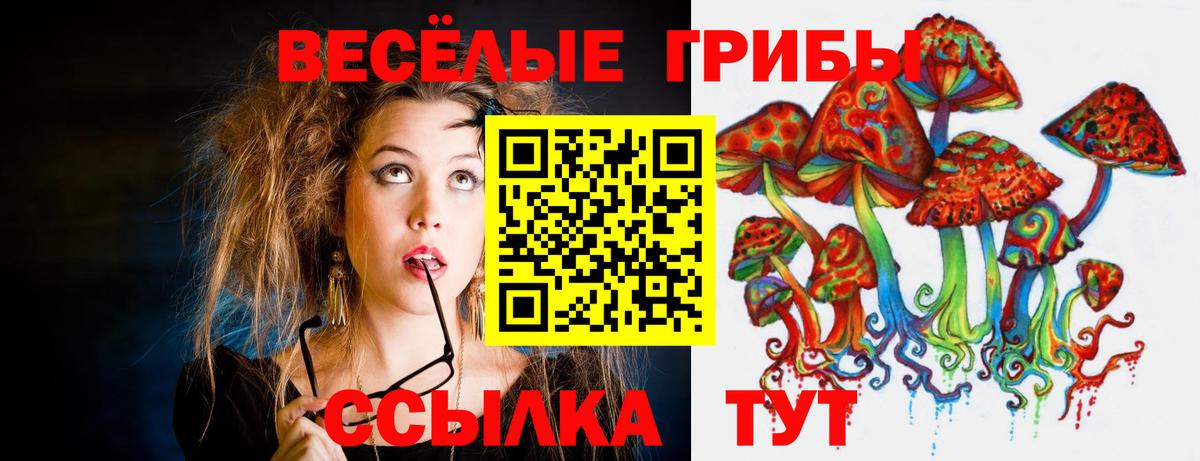 Псилоцибиновые грибы Psilocybe  Вход с VPN  Псилоцибиновые грибы Magic Shrooms  Малоярославец 